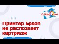 Ремонт принтера Epson не распознает картриджи, проблема со сбросом чипов. Поломки принтера