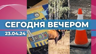 Русский в школах | Смерть животных в Кемери | Сезон дорожных работ в Риге