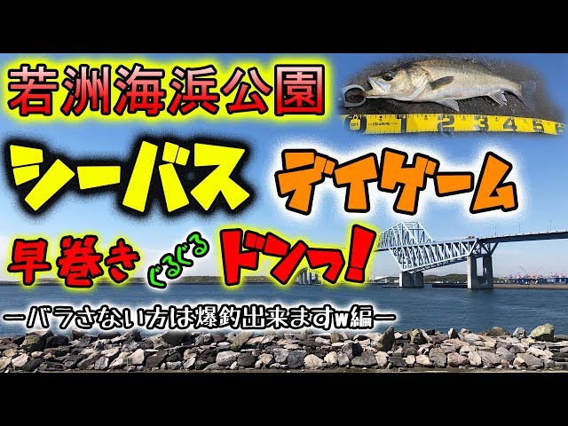 釣りは一生やるの人気動画 Youtubeランキング