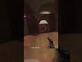 uff Mesrine clutch in Urban Terror