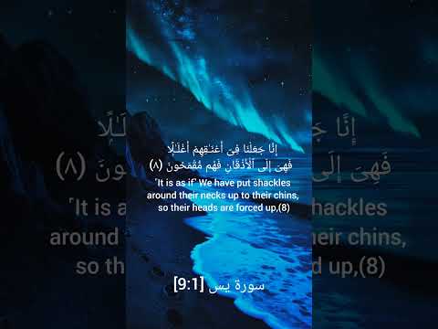 تلاوة طيبة لصدر سورة يس بصوت القارئ ماهر المعيقلي    1 9   