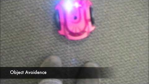 Object Detection with the S2 Robot