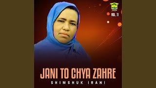 Mani Salonk Dilbare - Shimshuk Irani
