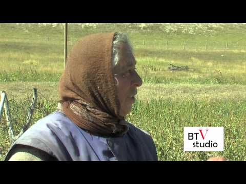 ვაიოს ველების ტრაგედია