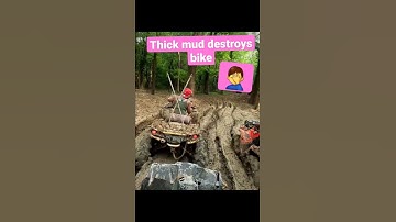 Mud Destroys Canam Outlander #mud #mudding #canam #canam800 #shorts #mudpark #trending #viral #fyp