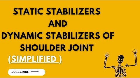 static and dynamic stabilizers of shoulder joint