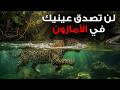 الأمازون الجانب الخفي الذي لا يكتشفه معظم البشر فيلم وثائقي 4K 