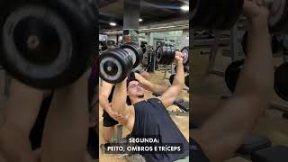 Divisão De Treino Pra Quem Treina 5X Na Semana