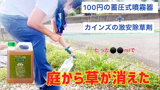 【雑草対策】ラウンドアップより遥かに安いグリホサート系除草剤「フリーパス」を100円の噴霧器で雑草にかけた結果・・・
