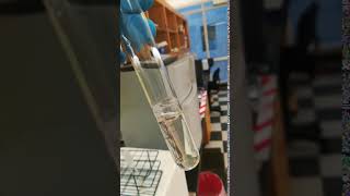 The growth of CLS strain in M9 medium
