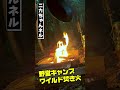 【野営キャンプ】ワイルド二階堂の直火コンロ