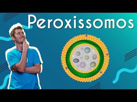 Vídeo: Quão raros são os distúrbios peroxissomais?