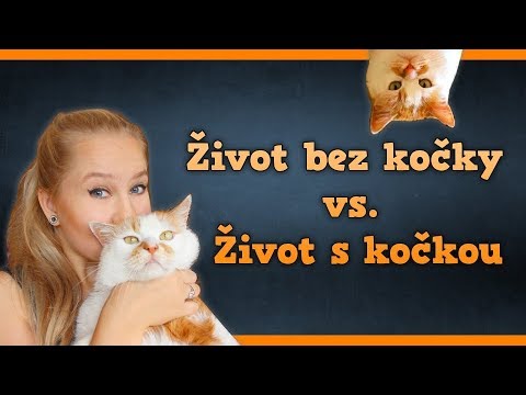 Video: Jak Se Starat O Dospělou Kočku