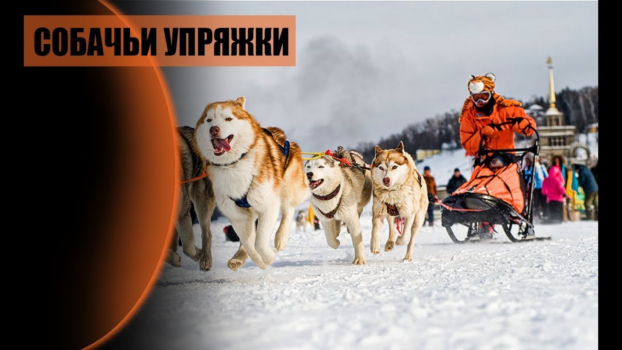 Машина едет в дагестан
