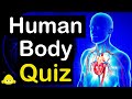 Human Body Quiz (MIND-BLOWING Trivia) - 20 Questions And Answers - 20 Fun Facts