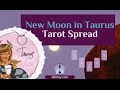 New Moon in Taurus Tarot Spread and Moon Energies