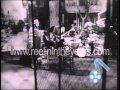 Big Mama Thornton "Hound Dog" 1964 (Reelin' In The Years Archives)