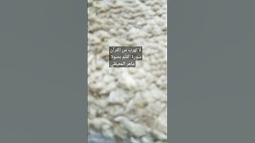 سورة القلم بصوت ماهر المعيقلي لكن لاتهرب