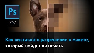 видео Широкоформатная печать