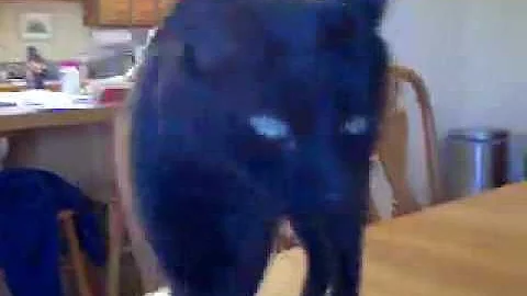 Leroy Pierce