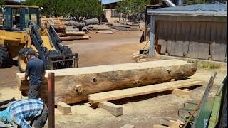 Before It Was A Bar, It Was A 400 Year Old Ponderosa Pine Tree, Killed in A Forest Fire!