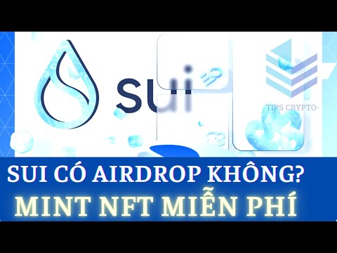 Cập Nhật AirDrop SUi – Mint NFT Miễn Phí Cơ Hội Nhận Retroactive Từ Dự Án | Tips Crypto