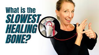 What is the Slowest Healing Bone in your Body? (Hint: It's in Your Wrist!)