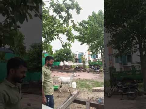 लाइव हाइलाइट #construction #youtubeshorts #live #ytshorts #reallife