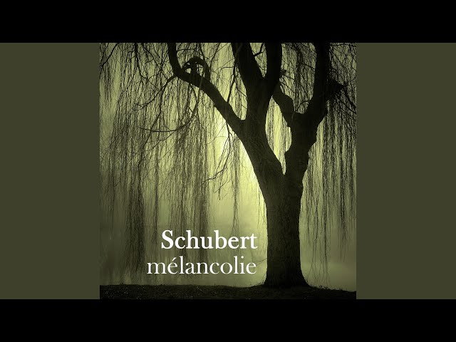 Schubert - Impromptu D.899 n°3 : Brigitte Engerer, piano