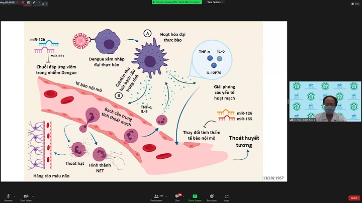 Hướng dẫn điều trị sốt xuất huyết dengue năm 2024