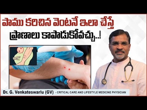 పాము కరిచిన వెంటనే.. | First Aid for Snakebite in Telugu | Snake Bite Treatment | Sriraksha Hospital
