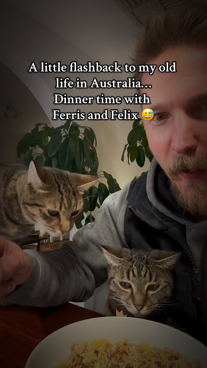 Flashback to my life in Australia 🇦🇺 Found this old video of me back home #home #cat #memories