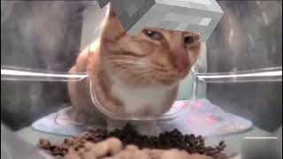 Side eye cat Minecraft Edition (MrFresh)
