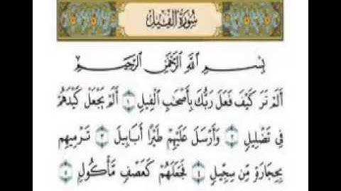 سورة ( العصر - الهمزة - الفيل - قريش - الماعون - الكوثر) للشيخ د\ محمد صالح ابو زيد