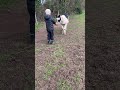 My animals on the farm ￼