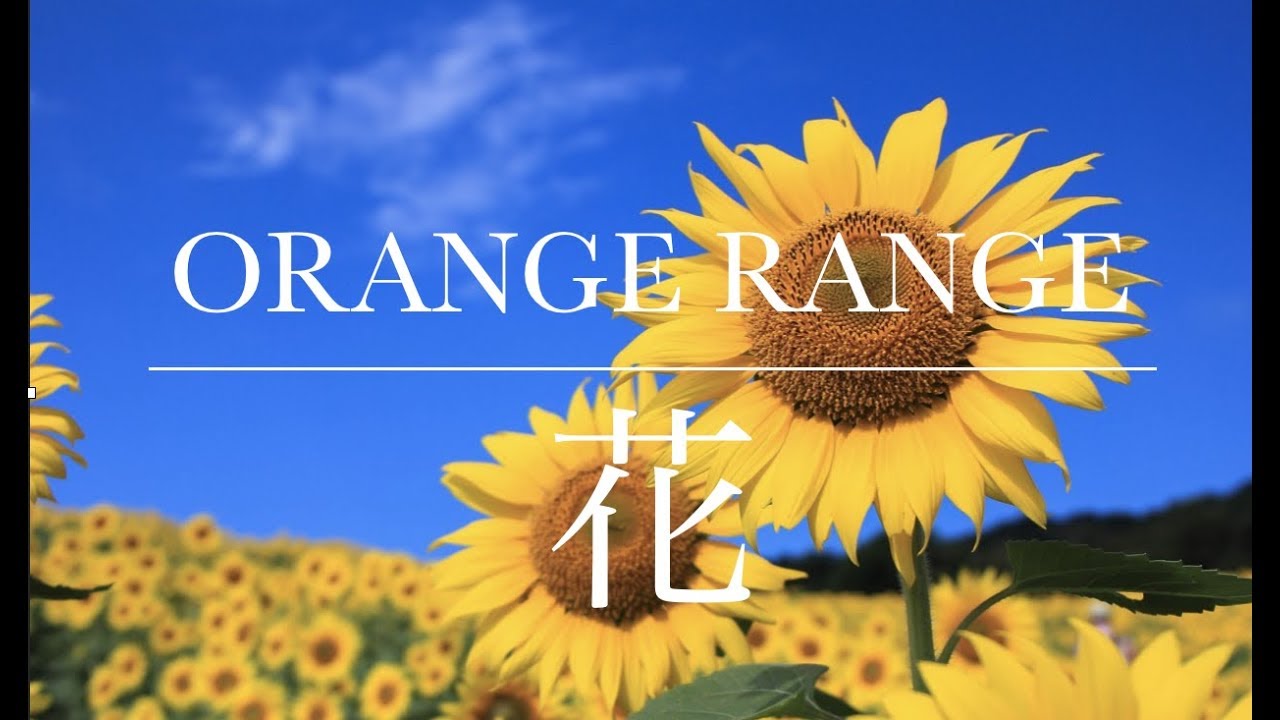 花 Orange Range Cover Song Byanny Youtube