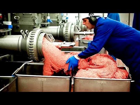 How Sausages Produced Inside The Factory - Amazing Food Processing Machines - Cake Production Line