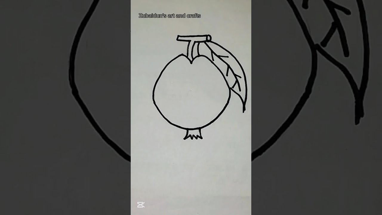 How to draw a guava by drawing a circle (step to step)