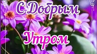 Доброе Утро😊 Хорошего Дня💖 Улыбок,Тепла И Добра💞