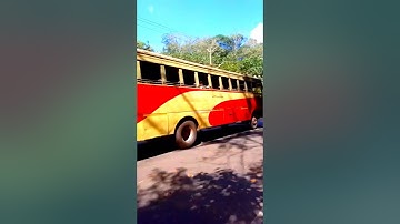 Kerala buses private vs Ksrtc vs tourist ❤️ #shorts #buskerala #kerala #buses