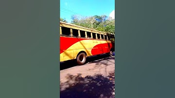 Kerala buses private vs Ksrtc vs tourist ❤️ #shorts #buskerala #kerala #buses