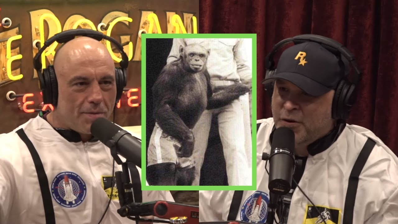 Were Human Ape Hybrids Really Created? | Joe Rogan & Brian Redban - YouTube