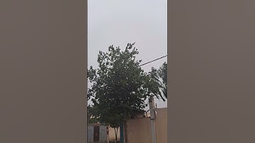 #سورة_الانعام #ماهر_المعيقلي #اكسبلور #قران_كريم