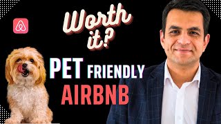 Pet Friendly Airbnb What Every Host Needs To Know