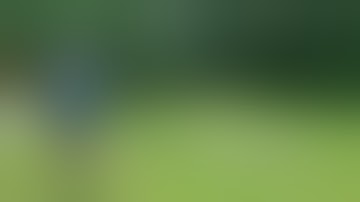 Fostech Echo Sport trigger AR15