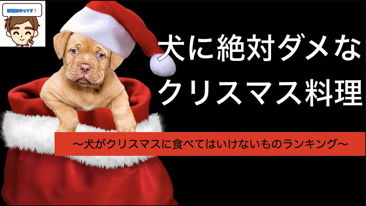 獣医がxmasを警告 クリスマスに 犬が食べてはいけないものランキング５つ Youtube