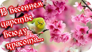 С Добрым Утром! 🌸В Весеннем Царстве Всюду Красота... 🌸  Неповторимо Каждое Мгновенье...🌸