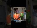 See inside Brobee's bunk on the Yo Gabba Gabba tour bus! #digitaltourbus #yogabbagabba #businvaders