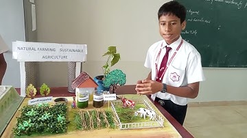 Sustainable agriculture natural farming