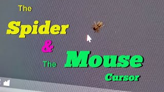 SPIDER and the MOUSE CURSOR